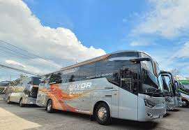 Bus Lampung Padang Miyor